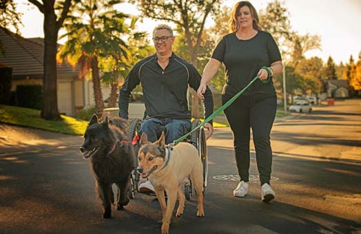 Man in wheelchair with a lday taking dogs for a walk
